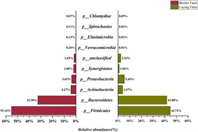 The diversity in antimicrobial resistance of MDR Enterobacteriaceae among Chinese broiler and laying farms and two mcr-1 positive plasmids revealed their resistance-transmission risk